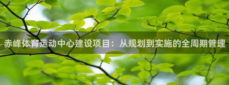杏耀凯捷开号链接：赤峰体育运动中心建设项目：从规划到实施的全周期管理