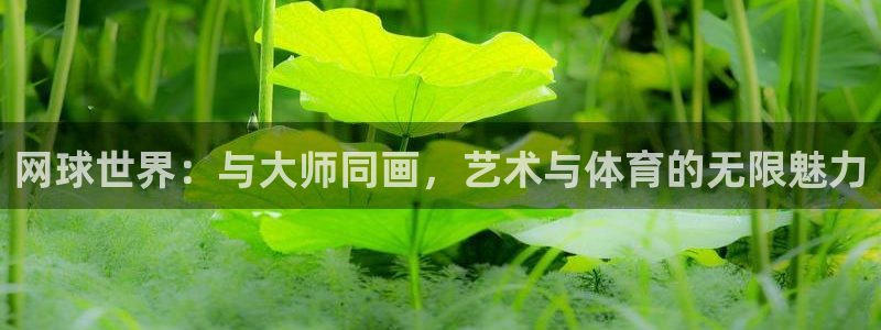 杏耀招商：网球世界：与大师同画，艺术与体育的无限魅力
