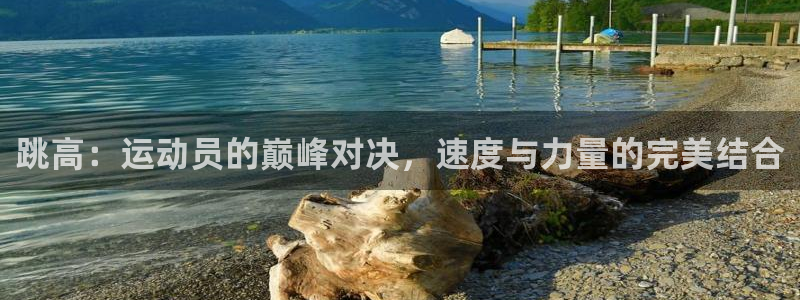 杏耀体育官网登录：跳高：运动员的巅峰对决，速度与力量的完美结合