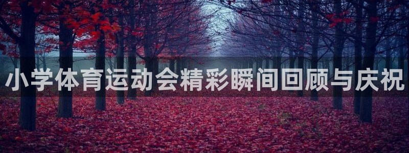 杏耀集团