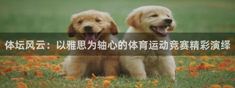 杏耀能源