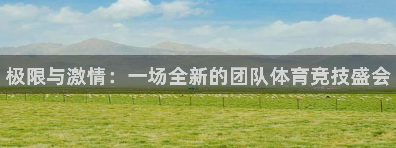 杏耀注册登录官网：极限与激情：一场全新的团队体育竞技盛会