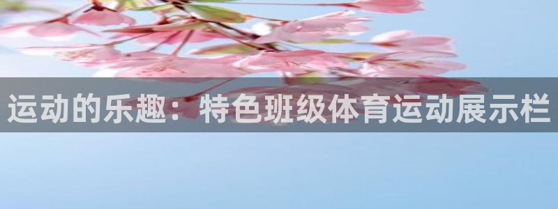 杏耀体育凯捷平台主管：运动的乐趣：特色班级体育运动展示栏