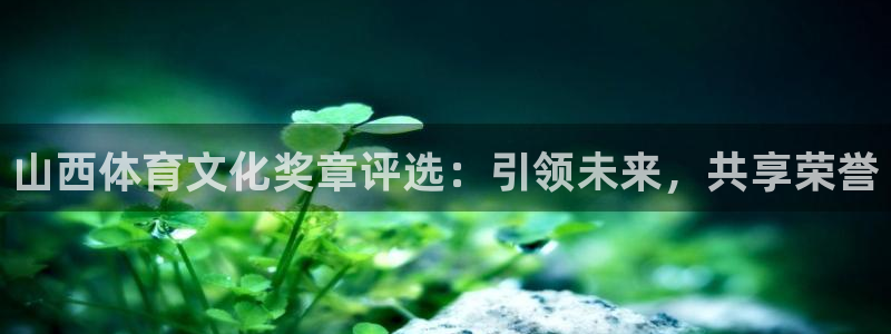 杏耀4平台注册：山西体育文化奖章评选：引领未来，共享荣誉