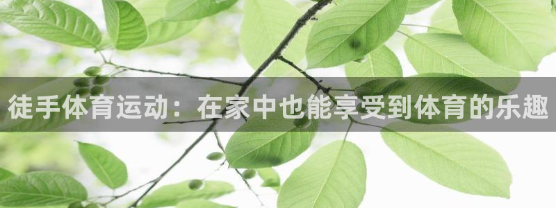 杏耀体育2：徒手体育运动：在家中也能享受到体育的乐趣