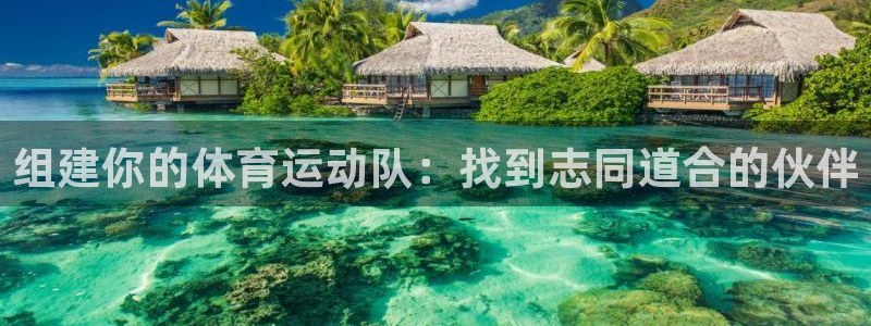 杏耀体育免费注册入口：组建你的体育运动队：找到志同道合的伙伴