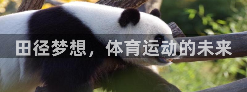 杏耀凯捷注册：田径梦想，体育运动的未来
