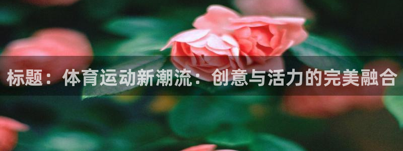杏耀账号注册官网入口：标题：体育运动新潮流：创意与活力的完美融合