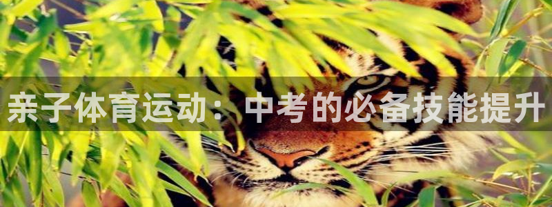 杏耀体育在线注册：亲子体育运动：中考的必备技能提升