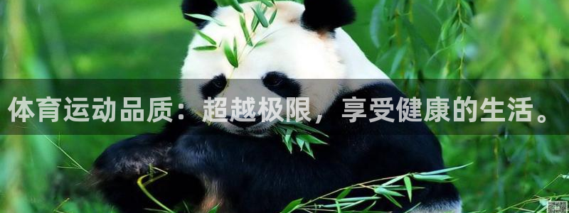 杏耀2平台注册：体育运动品质：超越极限，享受健康的生活。