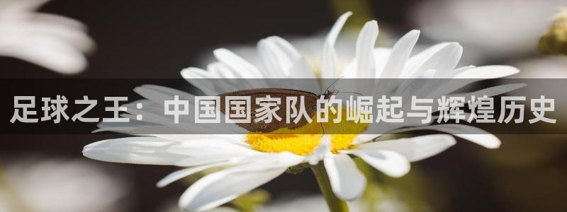杏耀网络测速官网：足球之王：中国国家队的崛起与辉煌历史