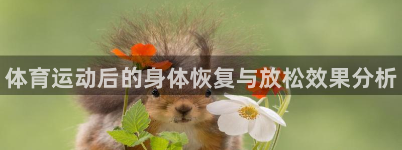 杏耀4官网：体育运动后的身体恢复与放松效果分析