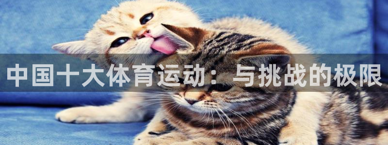 杏耀平台注册登录地址：中国十大体育运动：与挑战的极限