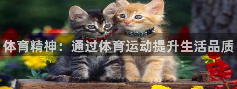 杏耀平台主管：体育精神：通过体育运动提升生活品质