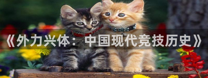 杏耀平台注册登录地址：《外力兴体：中国现代竞技历史》