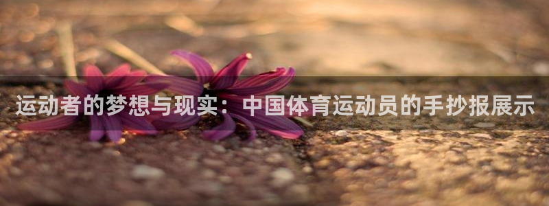 杏耀娱乐注册：运动者的梦想与现实：中国体育运动员的手抄报展示