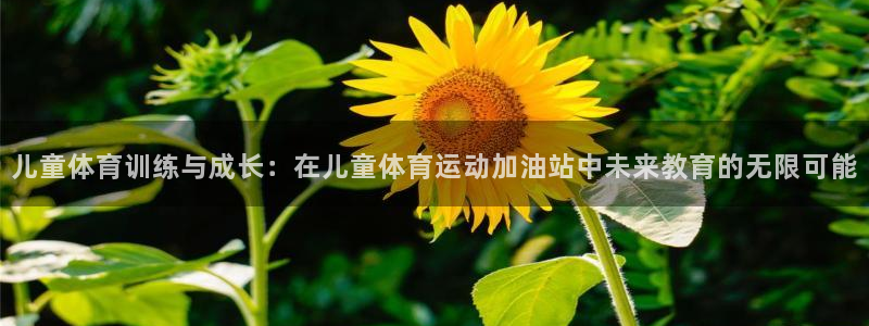 杏耀集团：儿童体育训练与成长：在儿童体育运动加油站中未来教育的无限可能