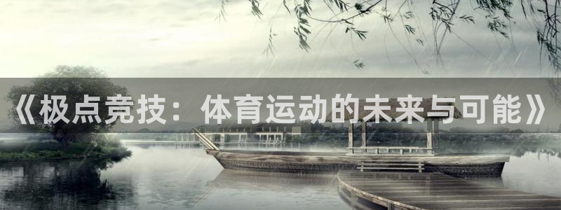 上海杏耀汽车电子有限公司：《极点竞技：体育运动的未来与可能》