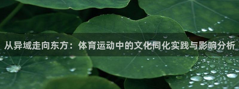 杏耀：从异域走向东方：体育运动中的文化同化实践与影响分析